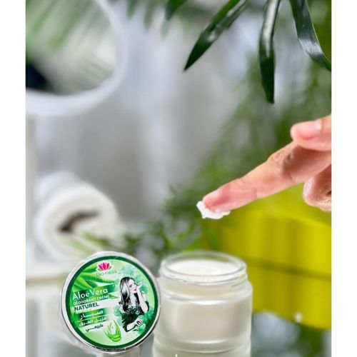 Creme Deodorante Bio Ness Naturel 45 G - ALOE VERA