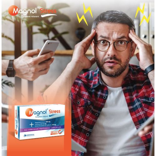 Complément Merinal Magnol Stress 20 CAPSULES
