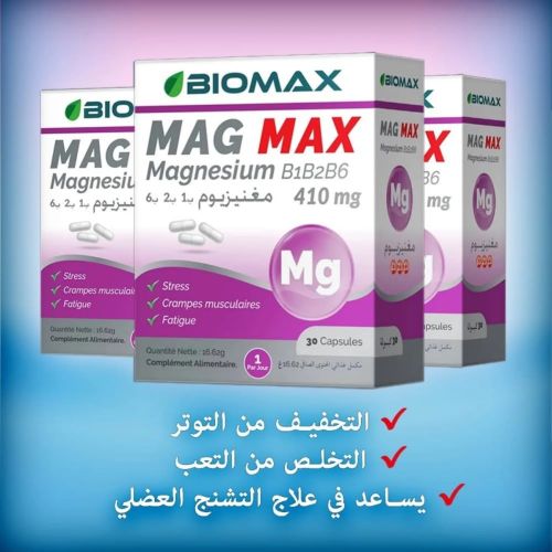 Complément Biomax Magmax B1 B2 B6 500mg 30 CAPSULES