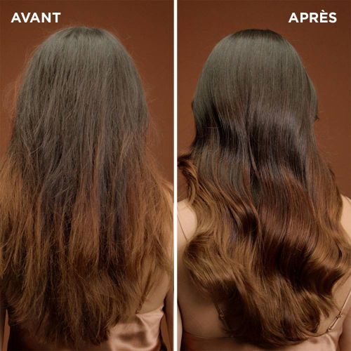 Shampoing Garnier Ultra Doux Huile Merveilleuses Argan & Camelia 300 ML