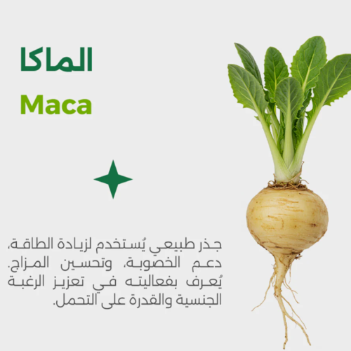 Complément Viherbs Maca 60 CAPSULES