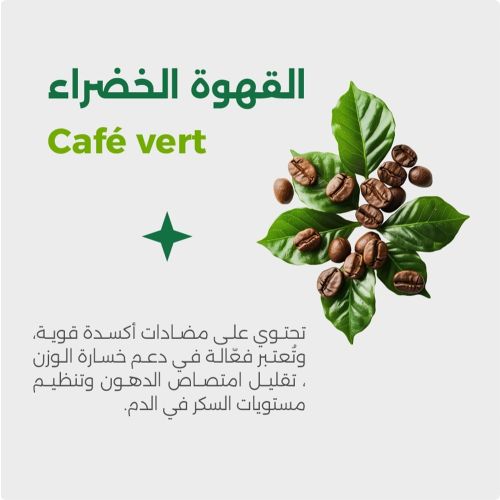 Complément Viherbs Garcinia Camborgia 60 CAPSULES