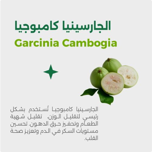 Complément Viherbs Garcinia Camborgia 60 CAPSULES