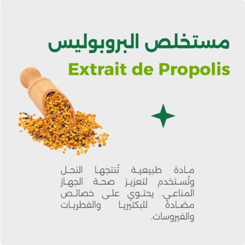 Complément Viherbs Propolis 60 CAPSULES