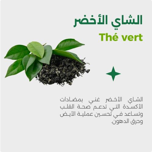 Complément Viherbs Garcinia Camborgia 60 CAPSULES