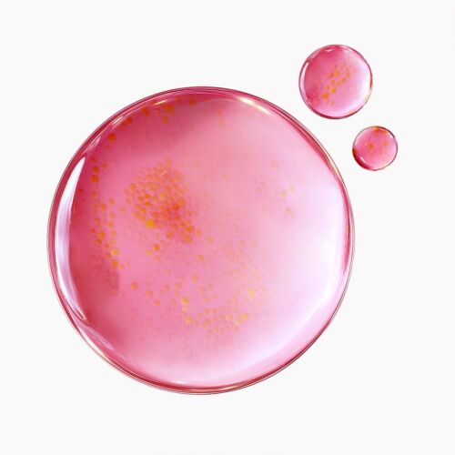 Serum Purito TXA 6 Niacinamide 10 Retinal 30 Ml