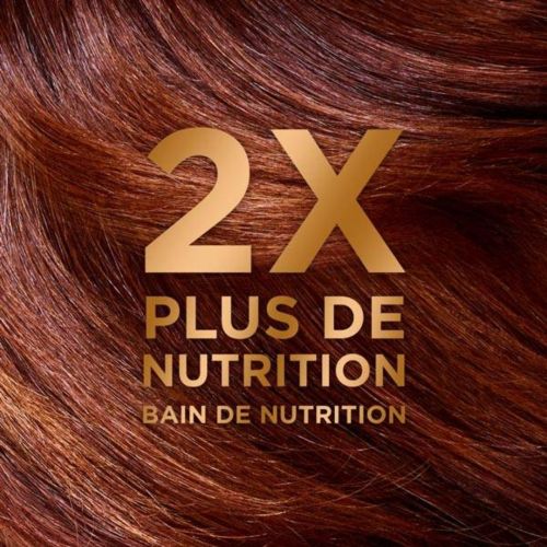 Shampoing Garnier Ultra Doux Huile Merveilleuses Argan & Camelia 300 ML