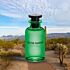 Eau De Parfum Louis Vuitton Cactus Garden Testeur 100 Ml