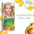 Teinture Garnier Color Naturals ° 9.1 Blond Cendré Très Très Clair