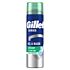 Mousse A Raser Gillette Aloe Vera 200 Ml