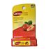 Baume a Lévre Carmex Daily Care Strawberry Spf15 USA 4.25 G