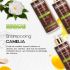 Shampoing Dermactive Aux Proteines Et A L'huile De Camelia 500 ML
