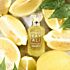 Eau De Parfum Kay Ali Lemon Sugar 14 100 ML