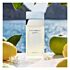 Eau De Parfum Dolce & Gabbana Light Blue 100 ML