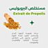 Complément Viherbs Propolis 60 CAPSULES
