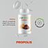 Complément Viherbs Propolis 60 CAPSULES