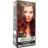 Teinture Renee Blanche - Blonde Foncé Rouge Intense 6.66