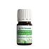 Huile ZeitiPharm Essentiel Eucalyptus Polybractea 5 ML