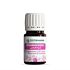 Huile ZeitiPharm Essentiel Géranium Rosat 5 ML