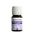 Huile ZeitiPharm Essentiel Lavande Officinale 5 ML