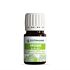 Huile ZeitiPharm Essentiel Origan 5 ML