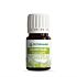 Huile ZeitiPharm Essentiel Ravintsara 5 ML