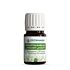 Huile ZeitiPharm Essentiel Eucalyptus Globuleux 5 ML