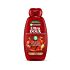 Shampoing Garnier Ultra Doux Huile D'argan & Cranberry 250 ML