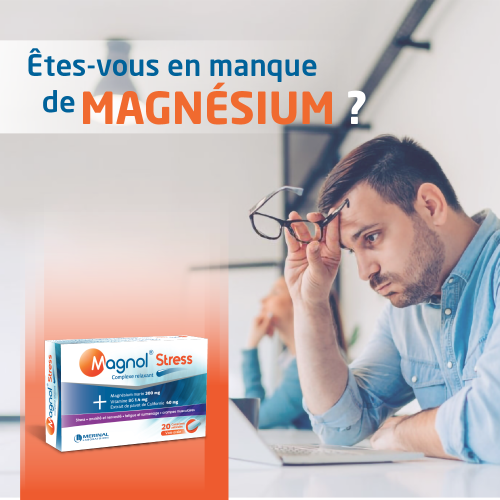 Complément Merinal Magnol Stress 20 CAPSULES