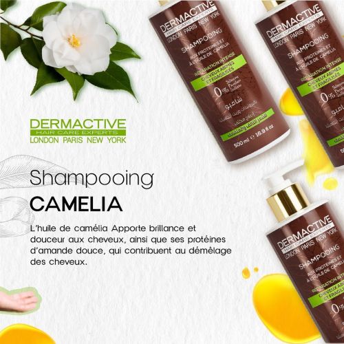Shampoing Dermactive Aux Proteines Et A L'huile De Camelia 500 ML