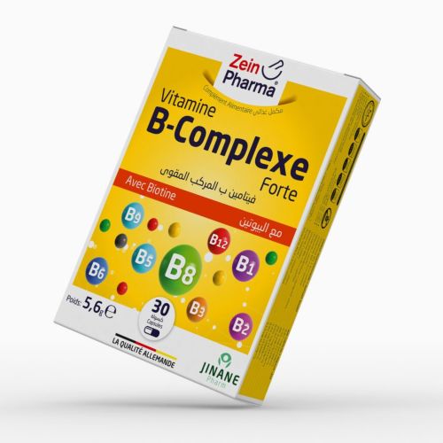 ZEIN PHARM VIT B -COPMLEXE FORT CL 100