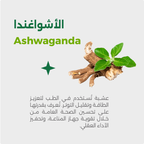 Complément Viherbs Ashwaganda 60 CAPSULES