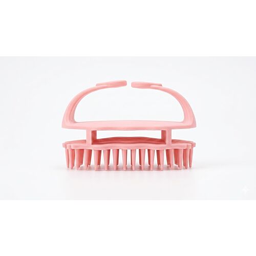Brosse Hind Cheveux